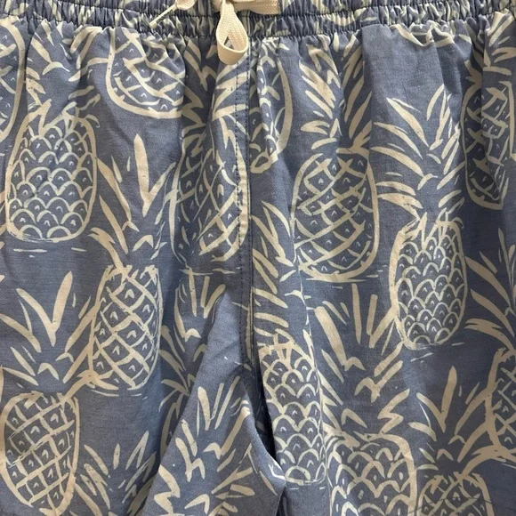Chubbies Shorts Men's Blue Thigh-Napples 5.5" Lined Swim Trunks Pineapple Medium - Picture 2 of 5